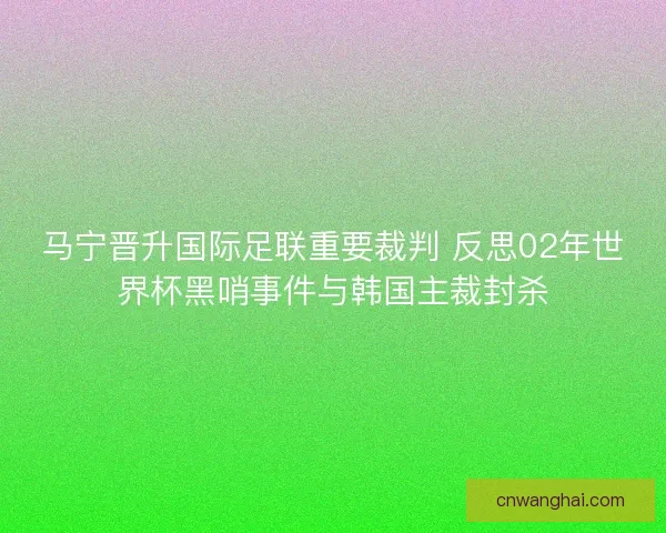 马宁晋升国际足联重要裁判 反思02年世界杯黑哨事件与韩国主裁封杀