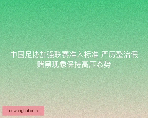 中国足协加强联赛准入标准 严厉整治假赌黑现象保持高压态势