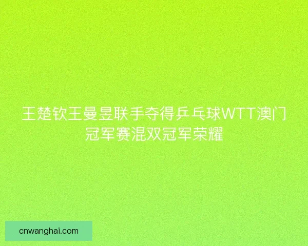 王楚钦王曼昱联手夺得乒乓球WTT澳门冠军赛混双冠军荣耀
